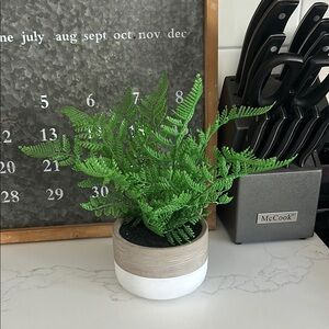 Vibrant Green Faux Fern Accent in Two-Tone Planter